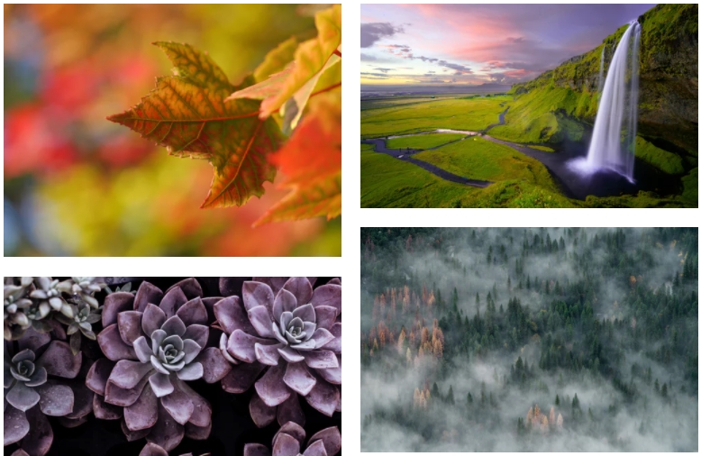 Unsplash images