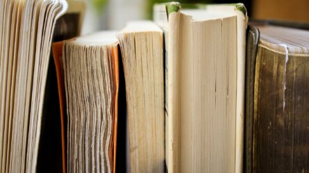 Literary Devices You Should Be Using in Your Email Headlines