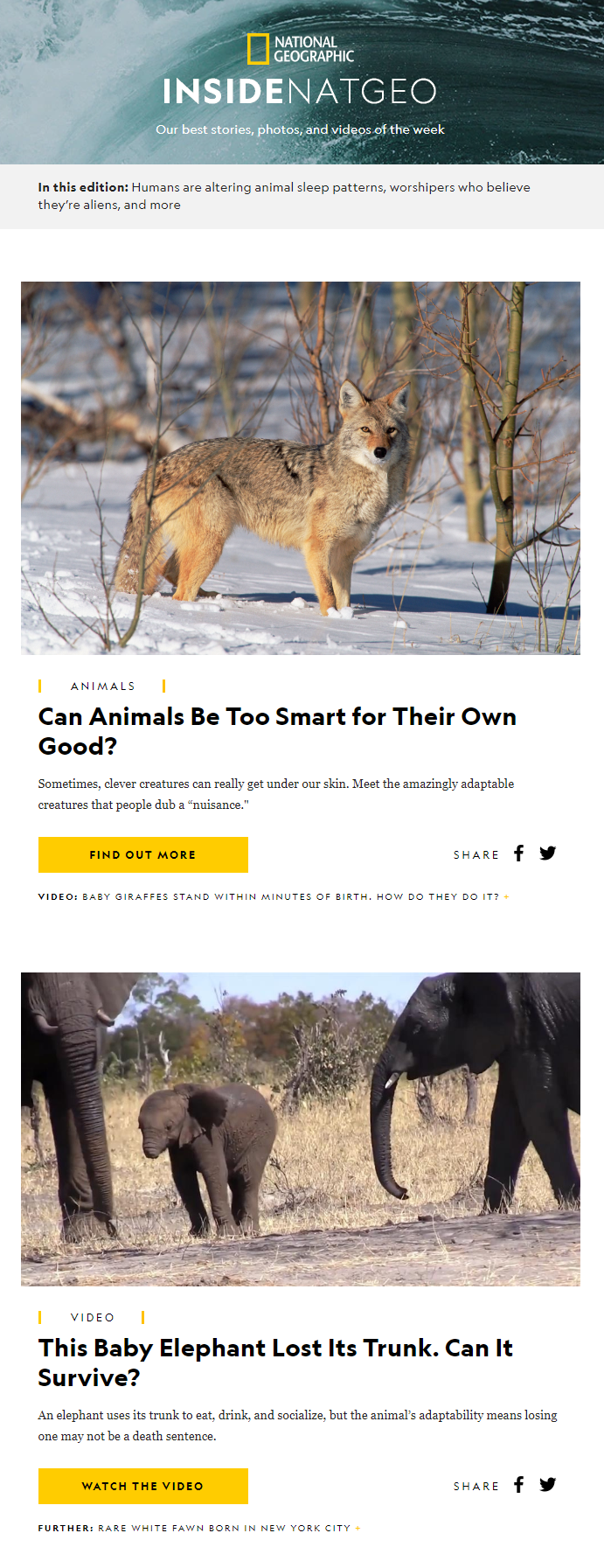 weekly digest weekly digest