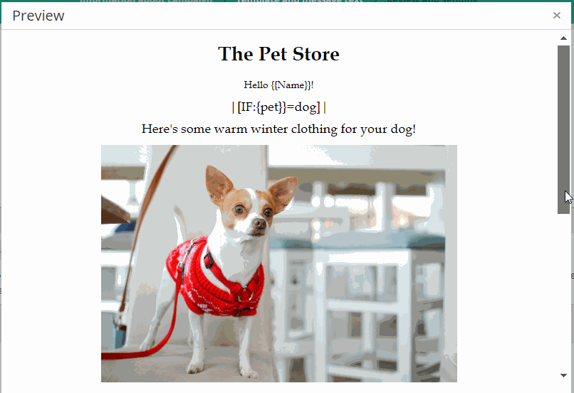 dynamic email template dynamic email template