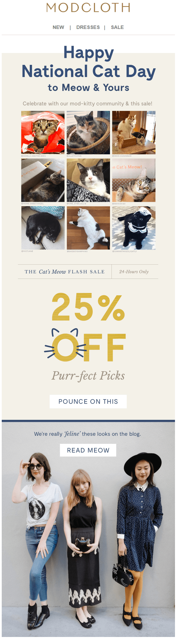cat day email cat day email