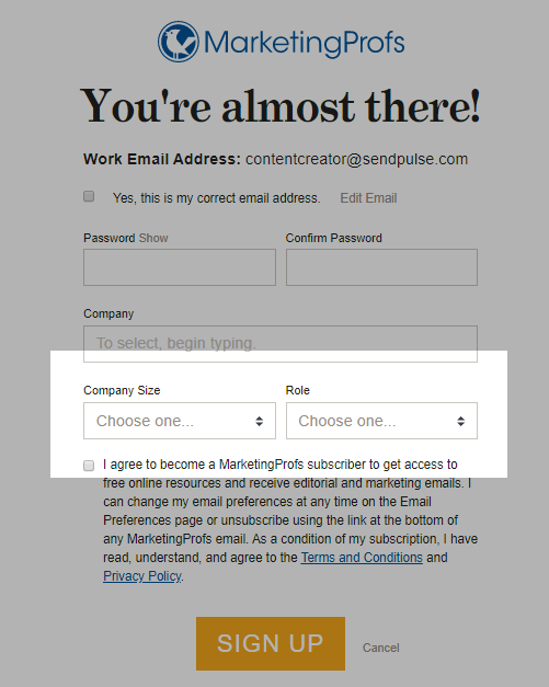 subscription form asking for customer data subscription form asking for customer data