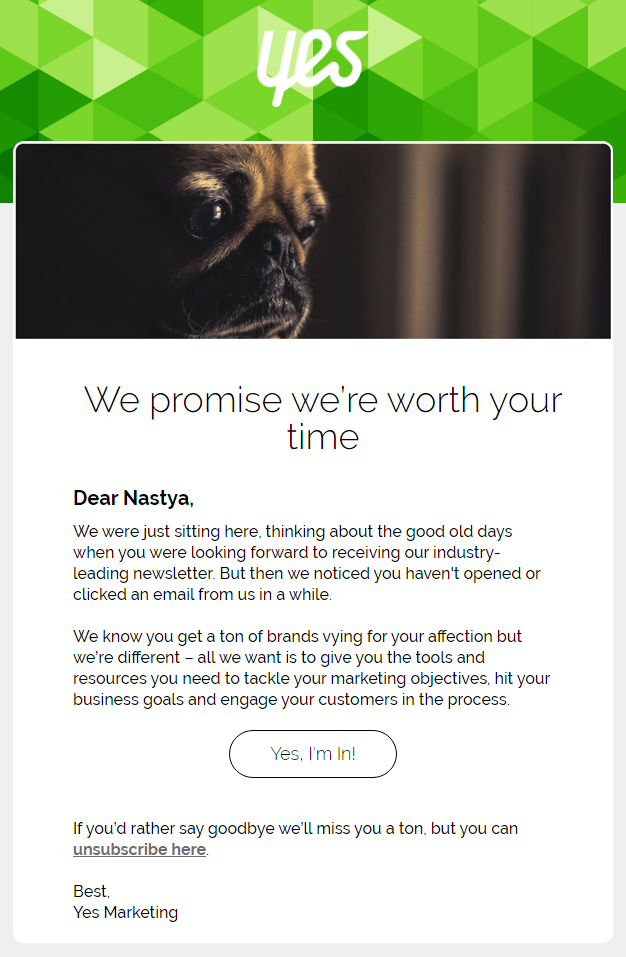 yes marketing re-engagement email example yes marketing re-engagement email example