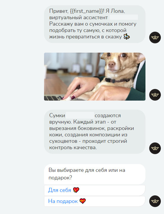 Плохой пример приветственного текста чат-бота Плохой пример приветственного текста чат-бота