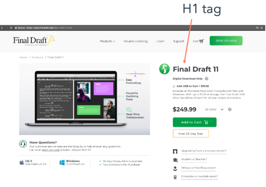 h1 tag example h1 tag example