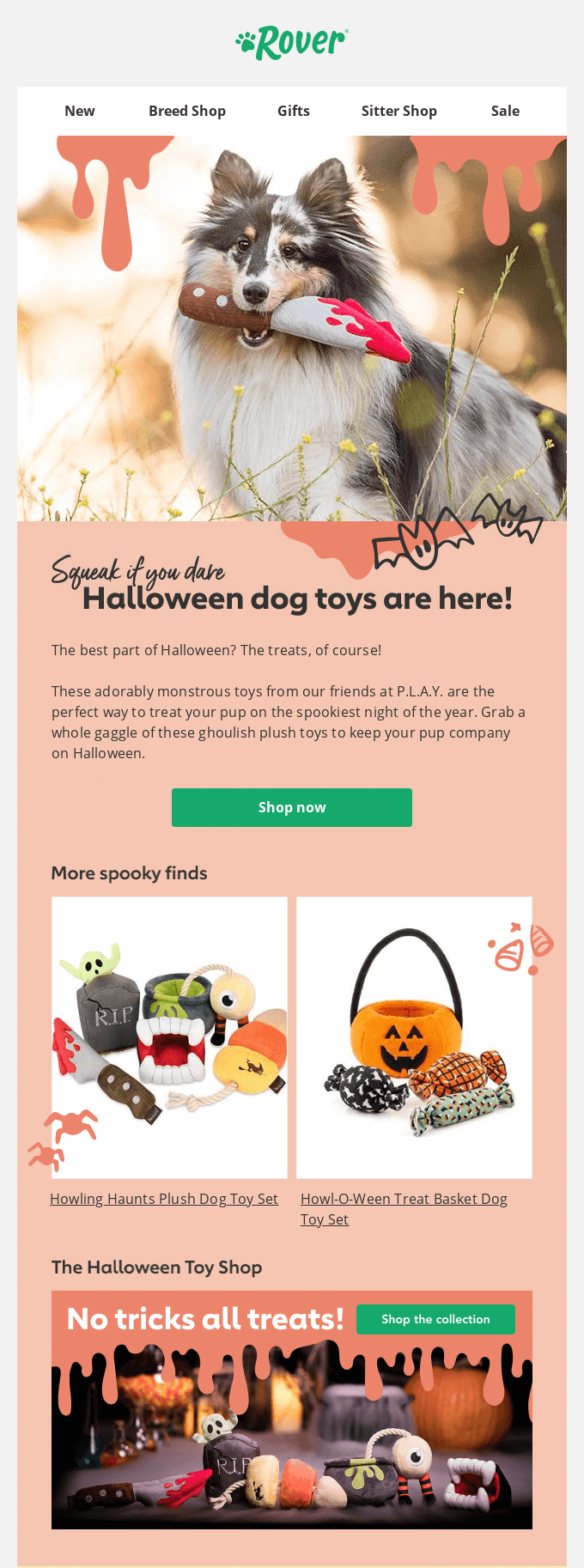 ecommerce email design example ecommerce email design example